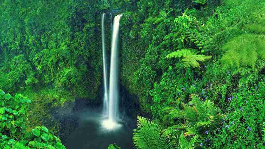 Samoa Informace O Destinaci Ck Livingstone 